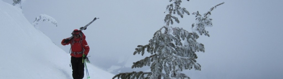 Weg zur "North Bowl Area"!