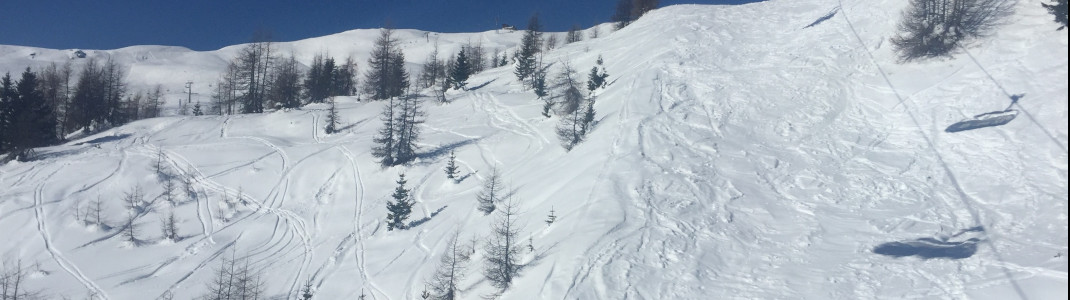 Freerider fühlen sich abseits der Pisten auch in Sillian Hochpustertal pudelwohl