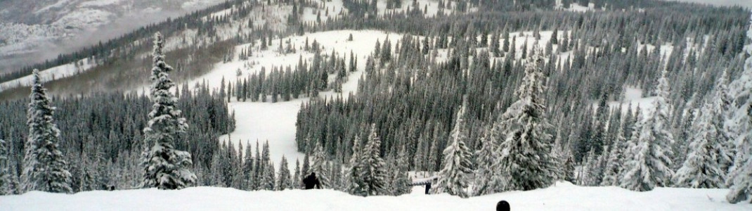 Powder-Abfahrten auf der "Triangle 3"-Piste!