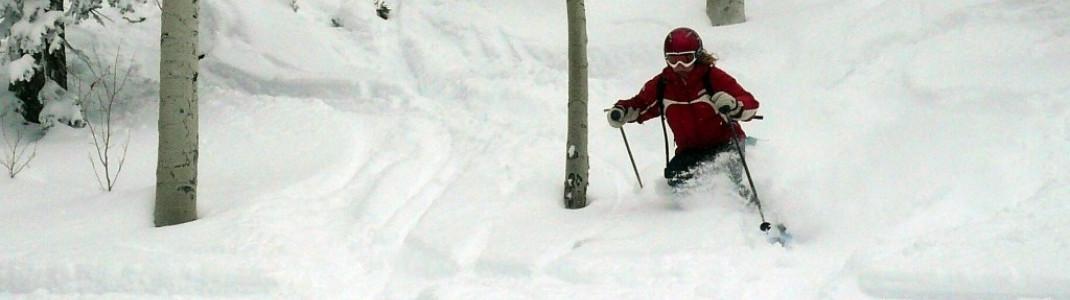 „Tree-Runs“ sind hier sehr beliebt!