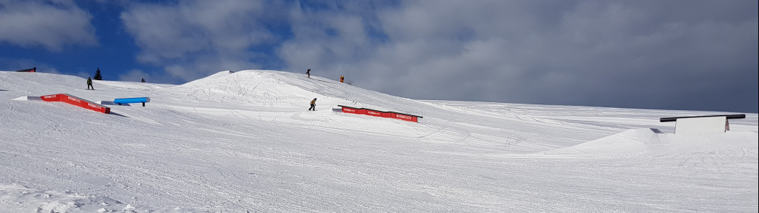 Action erleben Freestyler im Snowpark Steinplatte!