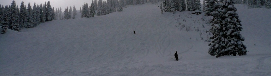 Schwarze Hänge am Highline Lift!