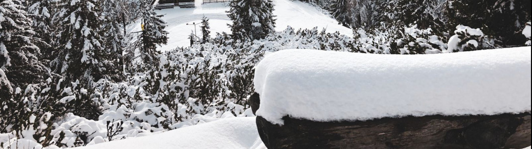 Tief verschneit ist die Landschaft aktuell bereits auf der Hochwurzen in der Steiermark. Hier sollen bis zum Wochenende 70cm fallen.