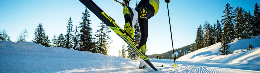 There are different cross-country skis in different price ranges.