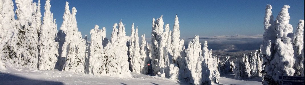 Sun Peaks hat aktuell traumhaften Schnee.