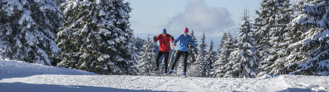 Im Schwarzwald sind die ersten Loipen bereits geöffnet.