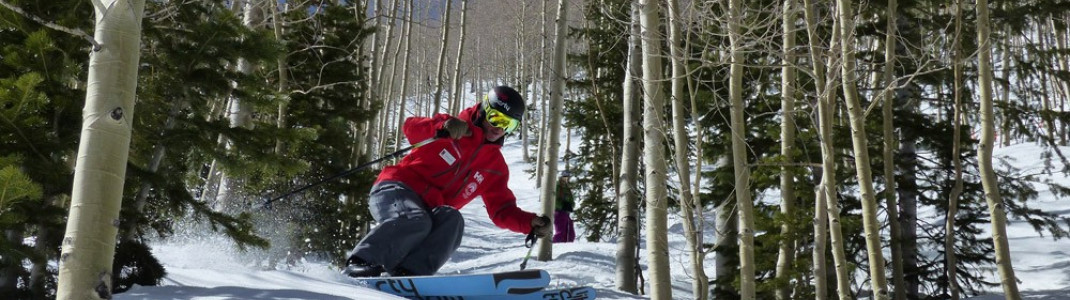 Tree Skiing in Colorado.
