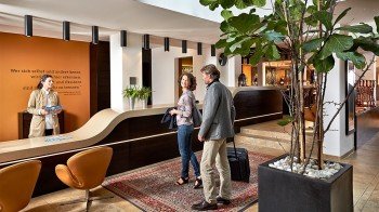 Wellness and SPA