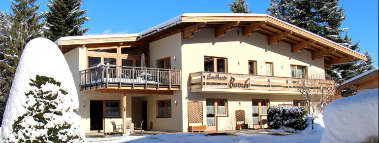 Appartementhaus Bambi - Winter