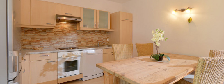 Appartement-Haus-Bambi-Ellmau-Kirchbichl-49-Appartement-5-Kueche