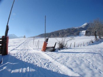 ski and toboggan run just behind the house