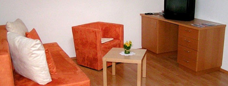 Apt. 3 - Living area