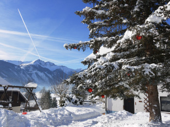 Winters View