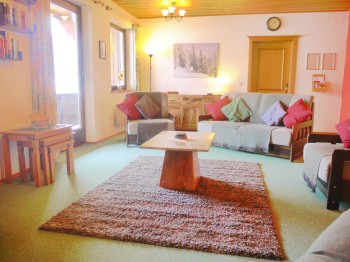 Living Room - Apartment Speiereck