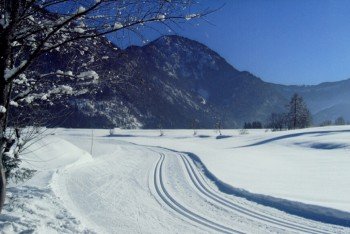 Cross-country skiing
