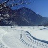 Cross-country skiing