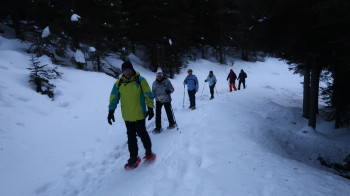 Snow wolking