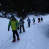 Snow wolking
