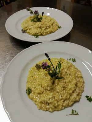Risotto