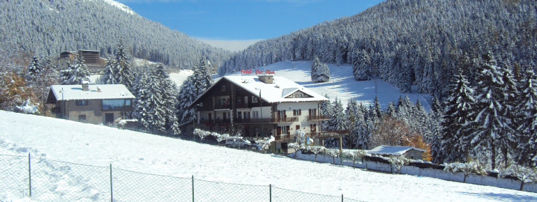 Hotel Des Alpes
