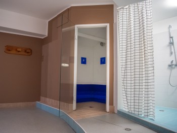 wellness steam bath