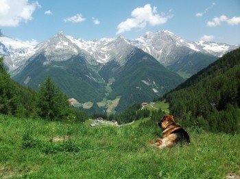 In summer panoramic view from "Klausberg