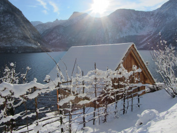 Winter Wonderland