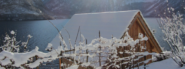 Winter Wonderland