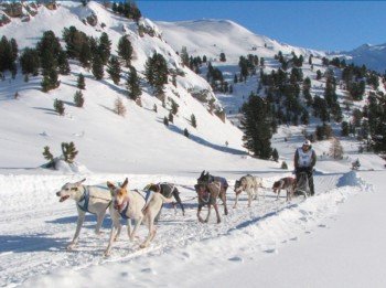 Dog sled race in Lü