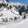 Dog sled race in Lü