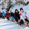 tobogganing
