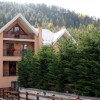 Back view