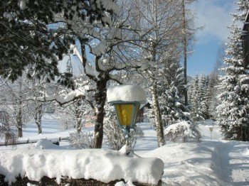 winterdream