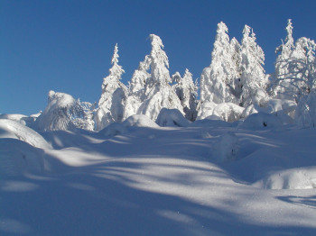 Schnee am Einödriegel