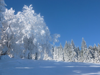 Schwarze Piste am Einödriegel