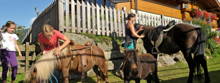 Ponyreiten im Sommer