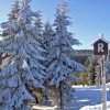 winter in Oberhof