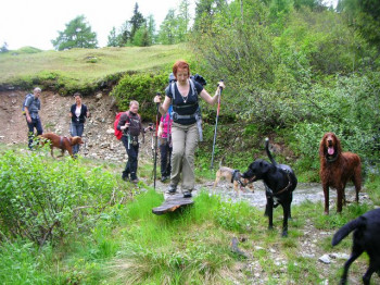 Wandern mit Hunden