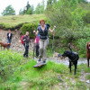 Wandern mit Hunden