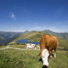 Sommerurlaub am Berg mieten