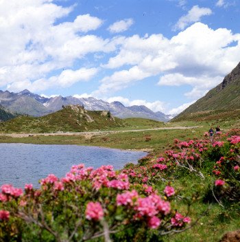 Obersee