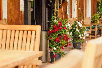 Sonnen-Terrasse Alpenhotel Sonneck