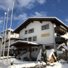 Alpenstern