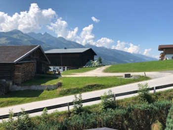 Aussicht auf die Wiese