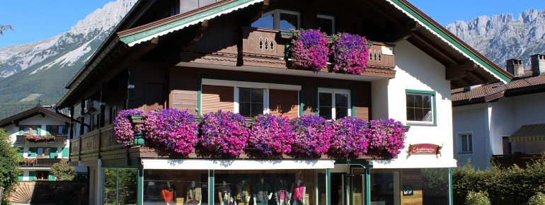Hausfoto Sommer