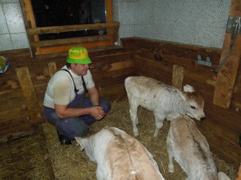 Der Chef bei der Stallarbeit