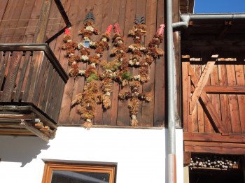 Scheune vom Möslehof
