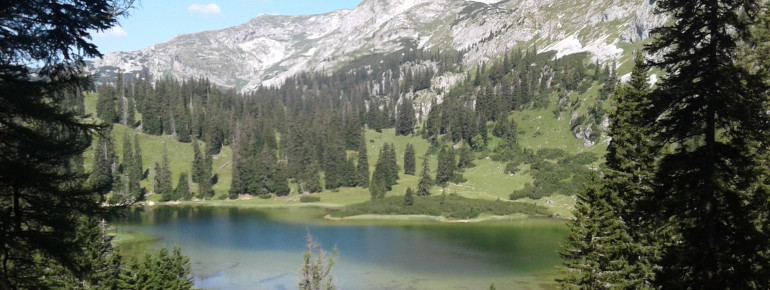Sackwiesensee