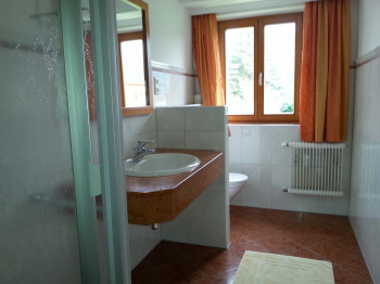 Badezimmer mit Dusch- und Handtüchern, Föhn und Seife