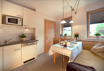 Wohnküche des Apartment Typ A
